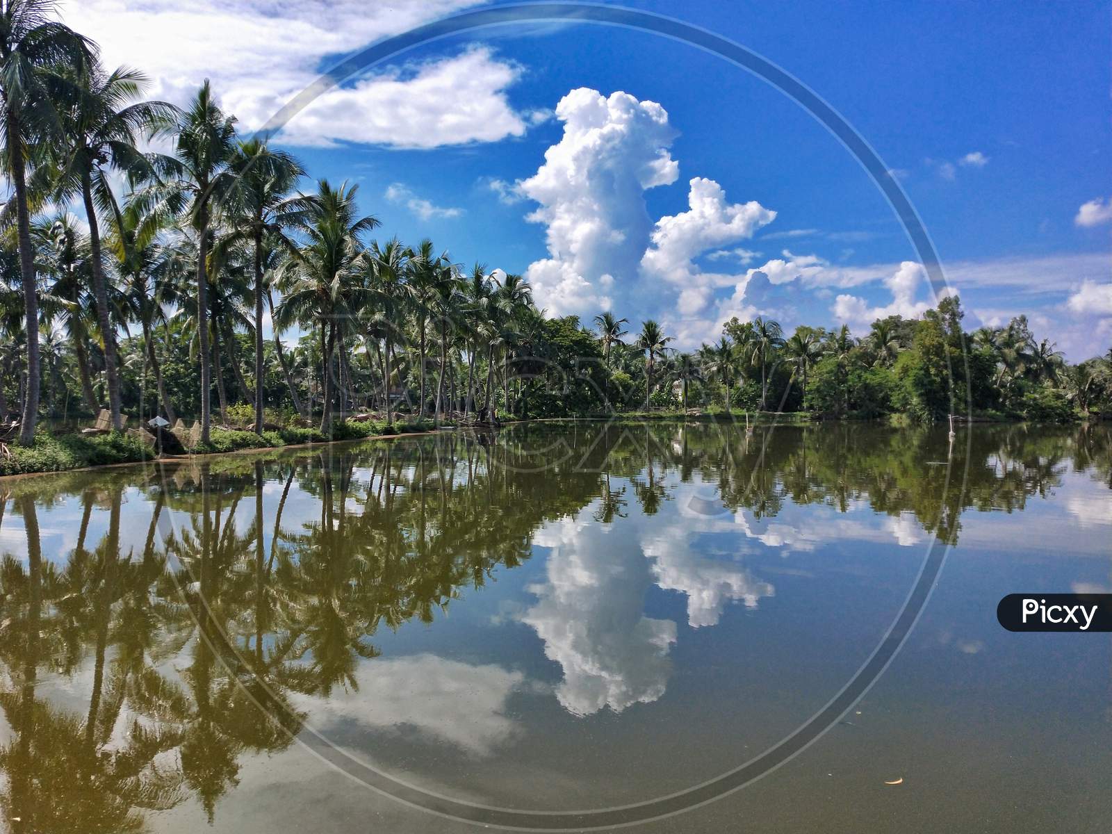 reflection of sky and coconut trees on water