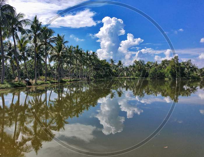 reflection of sky and coconut trees on water