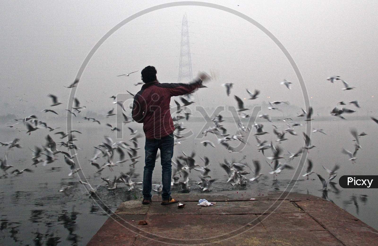 A man feeds seagulls at the Yamuna river on a smoggy morning in New Delhi, November 9, 2020.