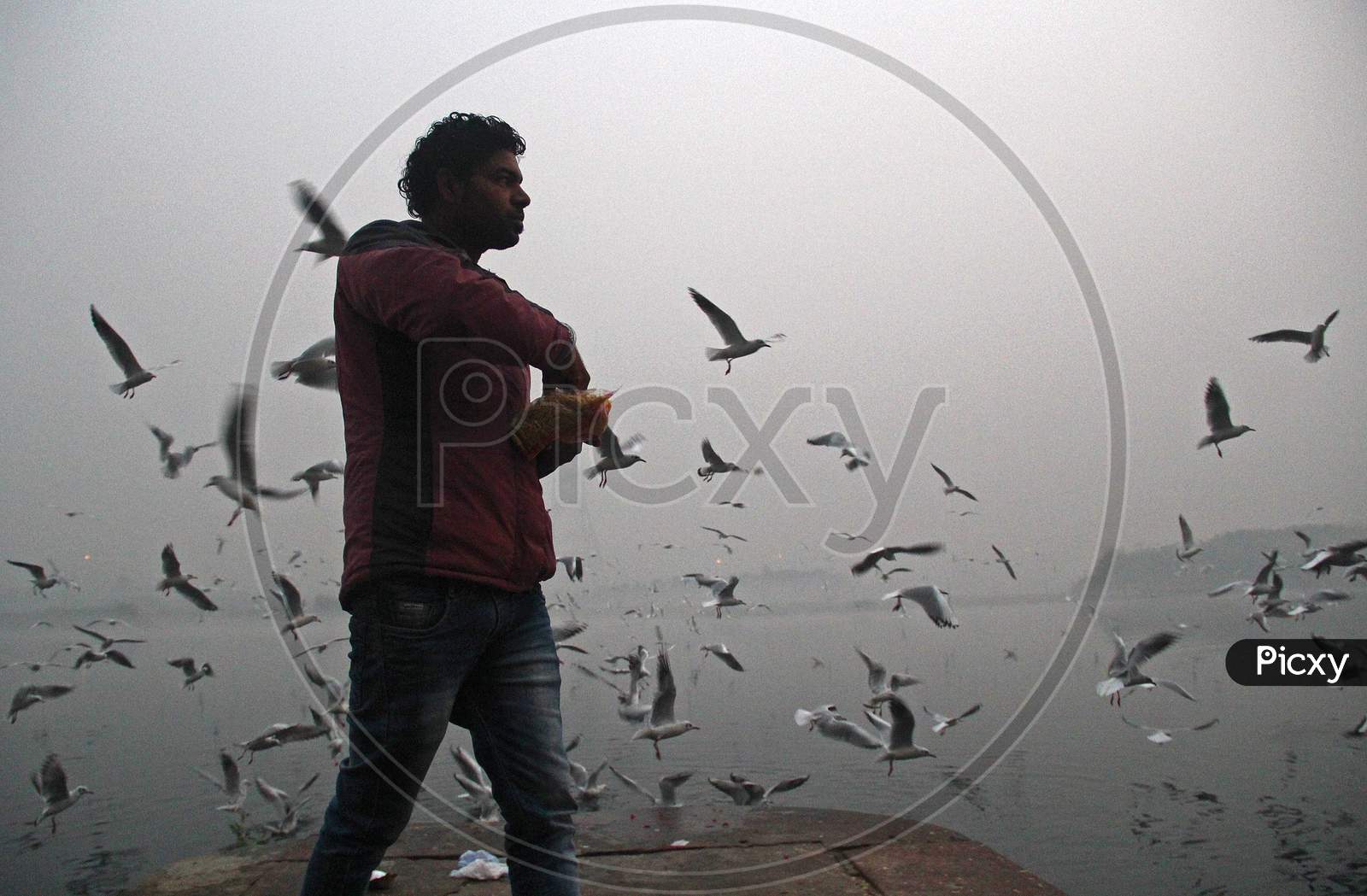 A man feeds seagulls at the Yamuna river on a smoggy morning in New Delhi, November 9, 2020.