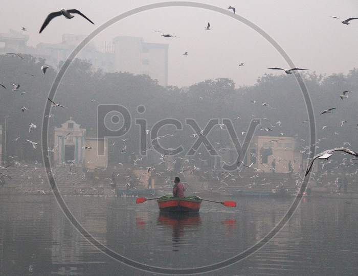 A man rides a boat as a flock of seagulls fly over the Yamuna river on a smoggy morning in New Delhi, November 9, 2020.