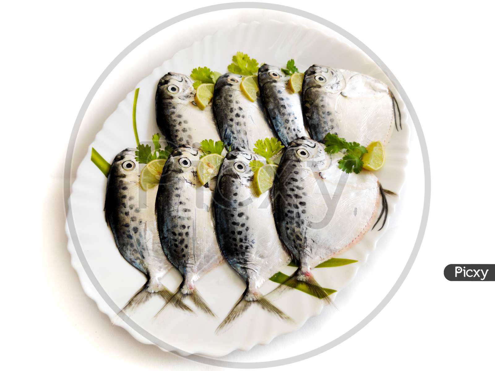 Image of Fresh Razor Moonfish/Razor Trevally Fish, Decorated With Herbs And  Lemon Slice On A White Plate.-SU109996-Picxy