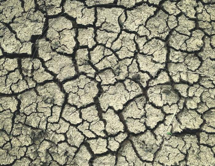 Land crack due to lack of water in summer dearth.