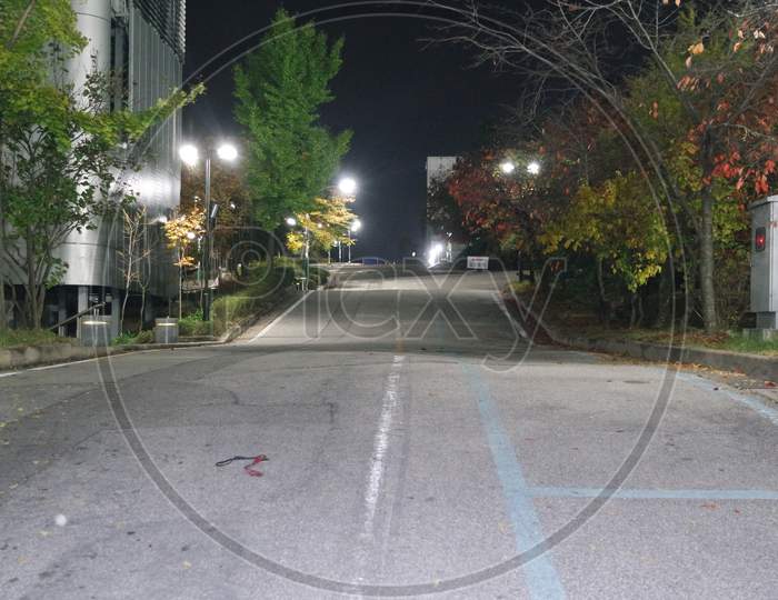 Night View Of A Paved Pedestrian Way Or Walk Way With Trees On Sides