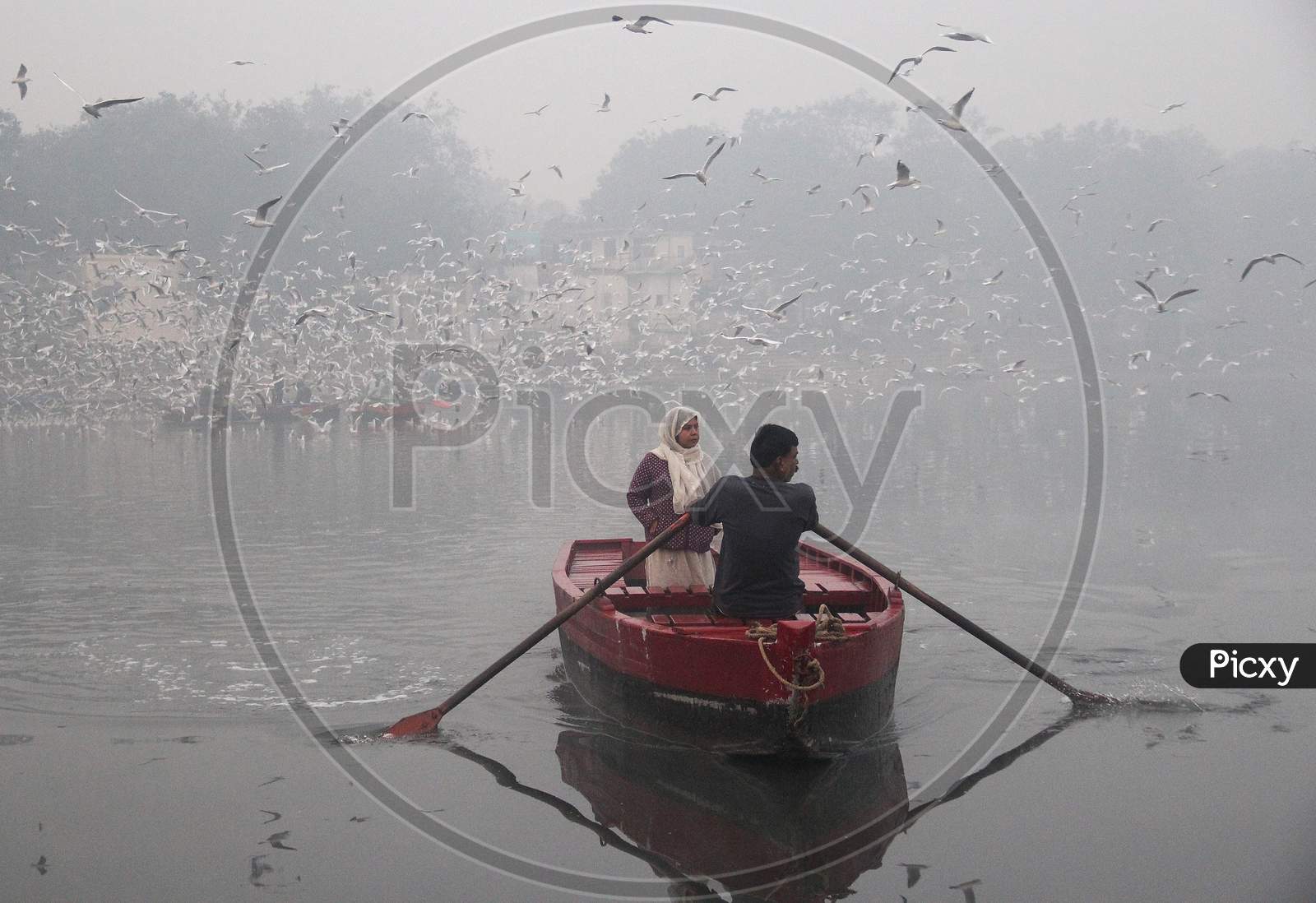 A man rides a boat as a flock of birds fly over the Yamuna river on a smoggy morning in New Delhi, November 9, 2020.