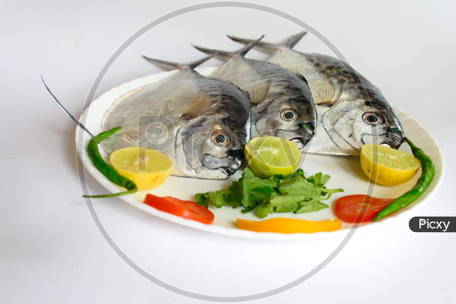 Fresh Razor Moonfish/Razor Trevally Fish, Decorated With Herbs And Lemon Slice On A White Plate.