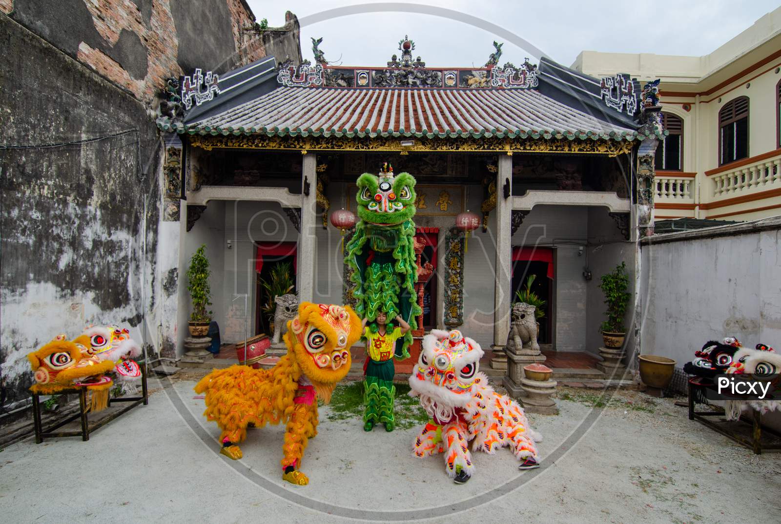 Lion Dance Perform In Front Of Chines Etemple Loo Pun Hong