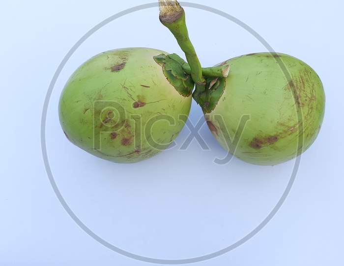 Two Green Coconut image in white Background, Selective Focus, Coconut image, green Coconut