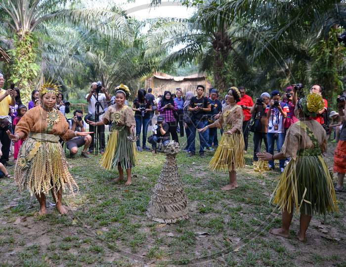 Malaysia Aborigines Mah Meri Dance In Front Of Tourists