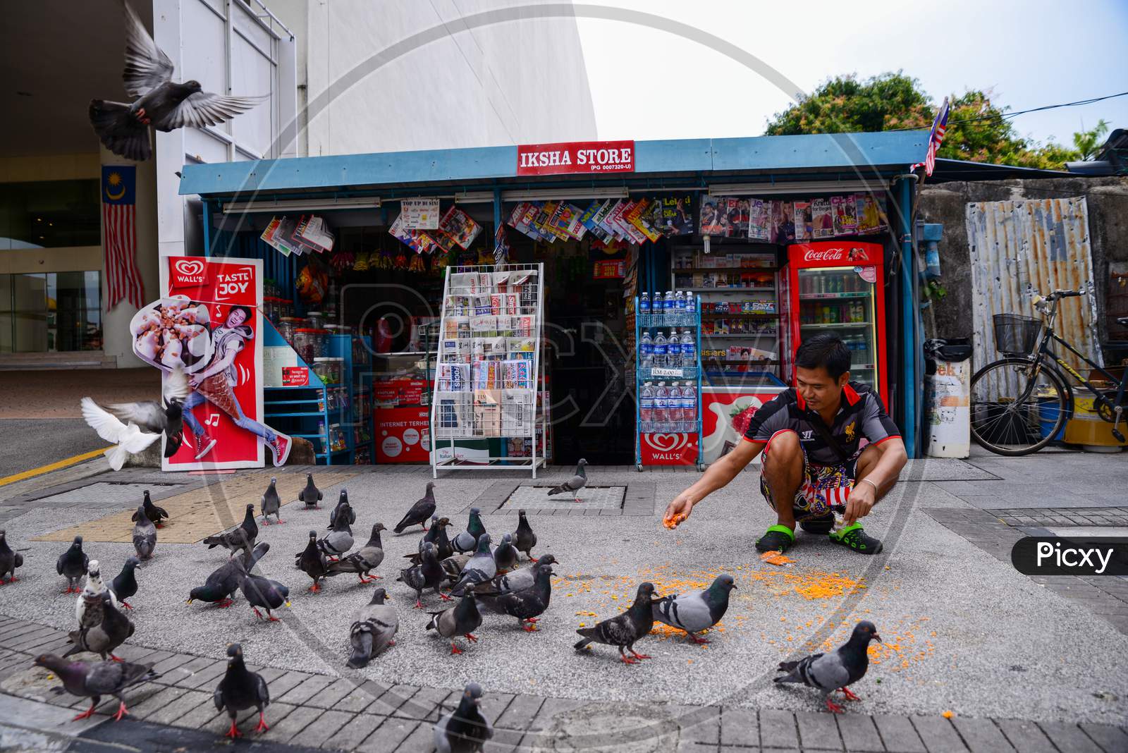 Pigeons Wait For Feeding In Front Of Mini Store At Penang Road