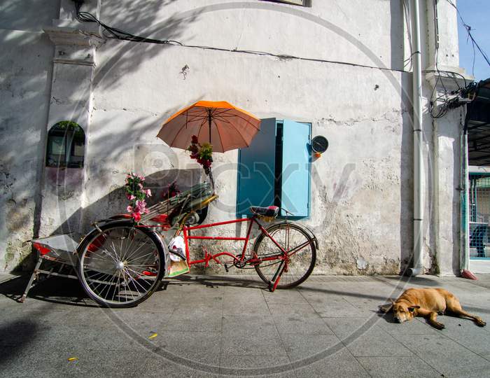 A Dog Sleep Beside The Trishaw