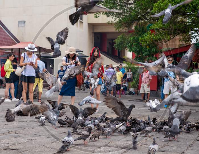 Tourist View The Pigeon Fly In Front Of Goddess Of Mercy Temple
