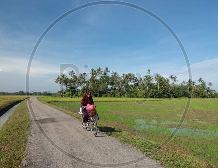 A Muslim Woman Cycle At The Rural Path Near Green Field