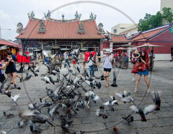 Visitor To The Goddess Of Mercy Temple Feeling Interested With Dove Fly Around