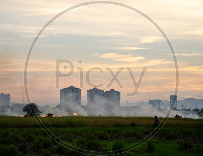 A Man Walk At The Paddy Field With Open Burning