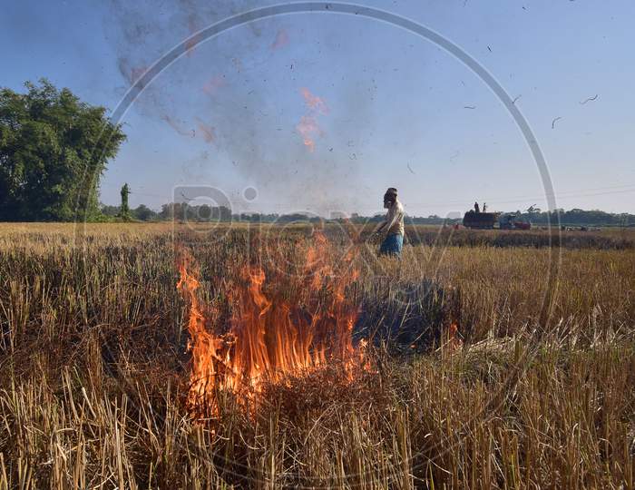 :A farmer burns paddy waste stubble in a field at Raha in Nagaon District of Assam on Dec 9,2020