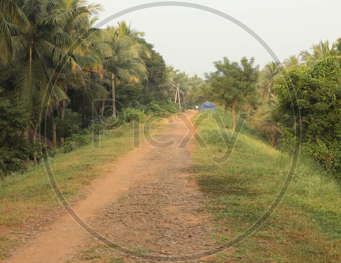 Rural Village Mud Road India