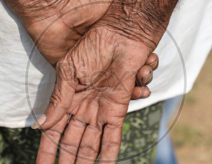 Indian Old men Hands