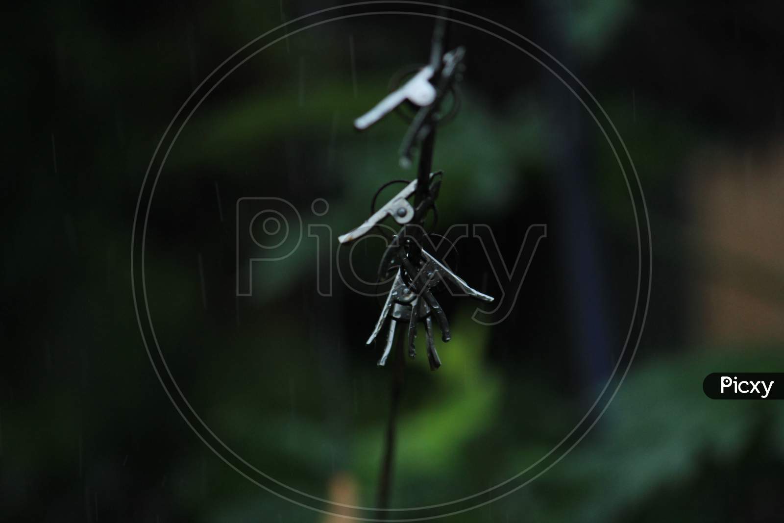 Image of group of color and stainless steel clips hang on the rope without  clothes-CC060891-Picxy