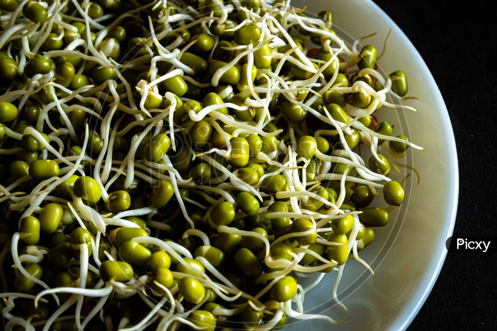 Green mung beans sprouts close up