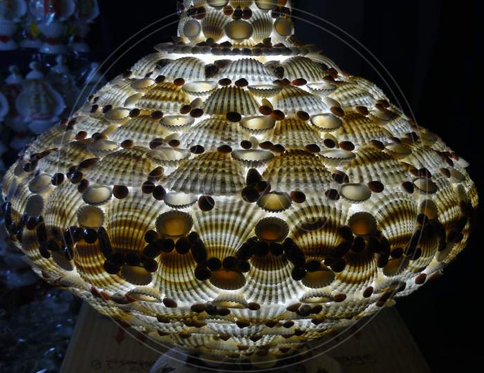 Oyster shell table lamp