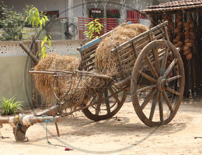 Bull cart at rural home