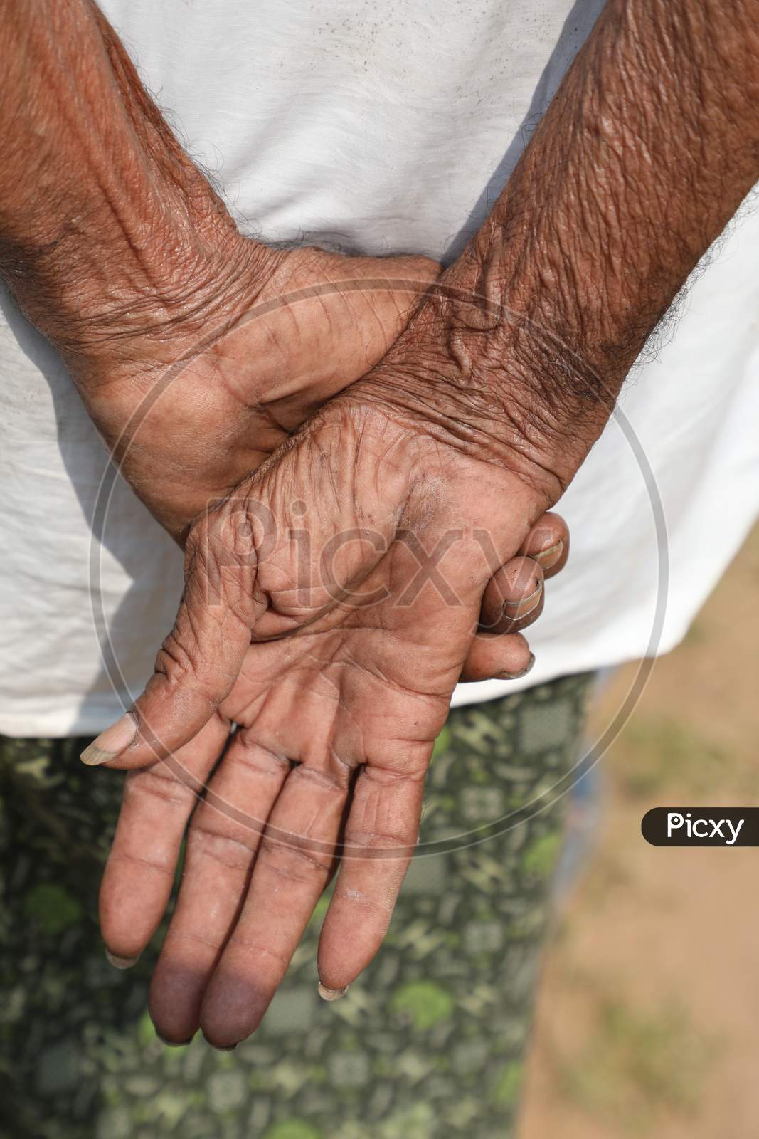 Indian Old men Hands