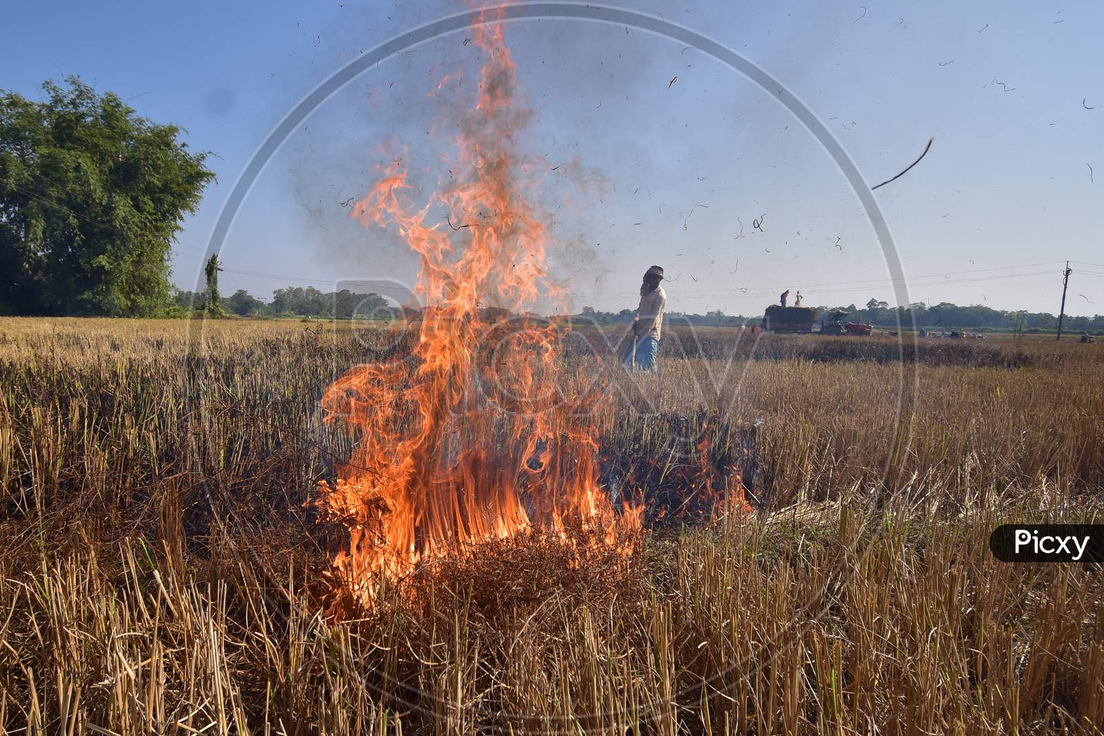 :A farmer burns paddy waste stubble in a field at Raha in Nagaon District of Assam on Dec 9,2020