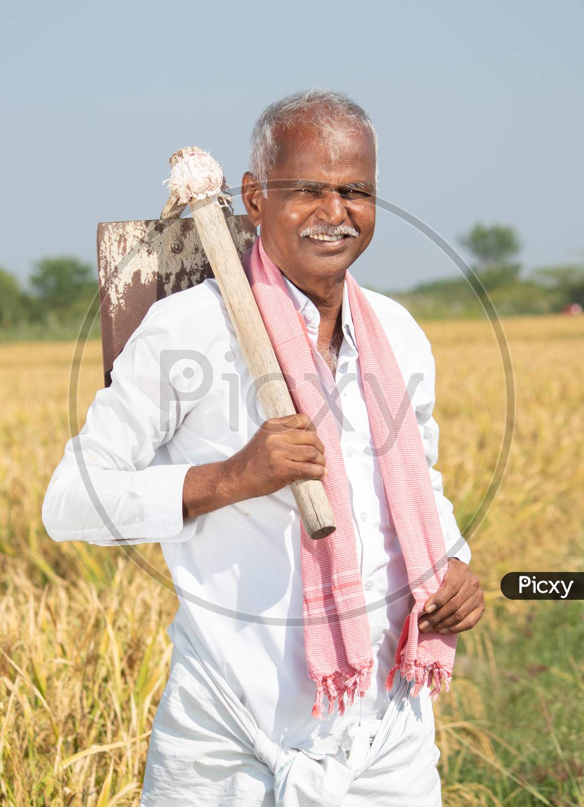 Happy Smiling Indian Farmer With Hand Hoe Or Garden Spade Standing In The Middle Of Agriculture Farmland During Harvesting Season.