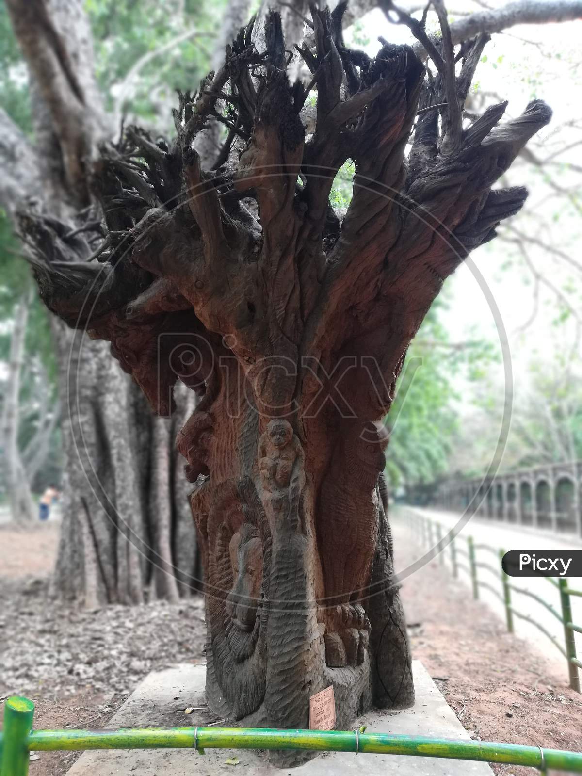 The Art of Tree Sculptures made by Humans, Dead Tree Sculpture
