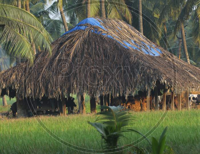 Hut in a rural area