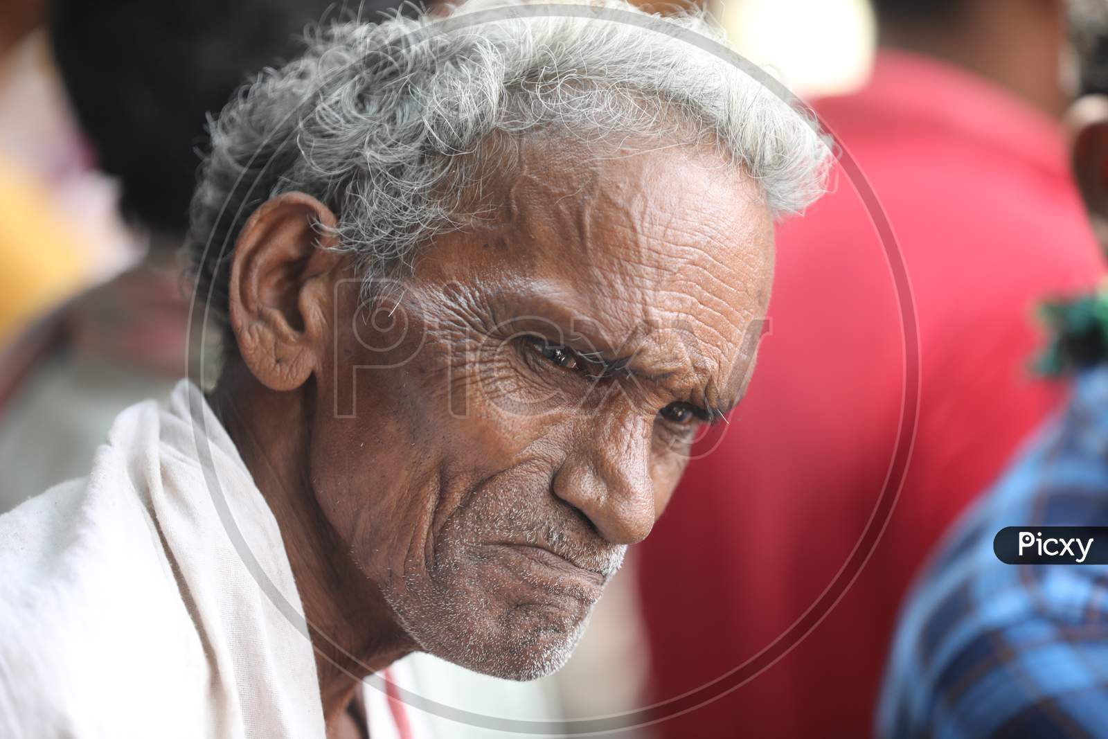 Indian Old man close up
