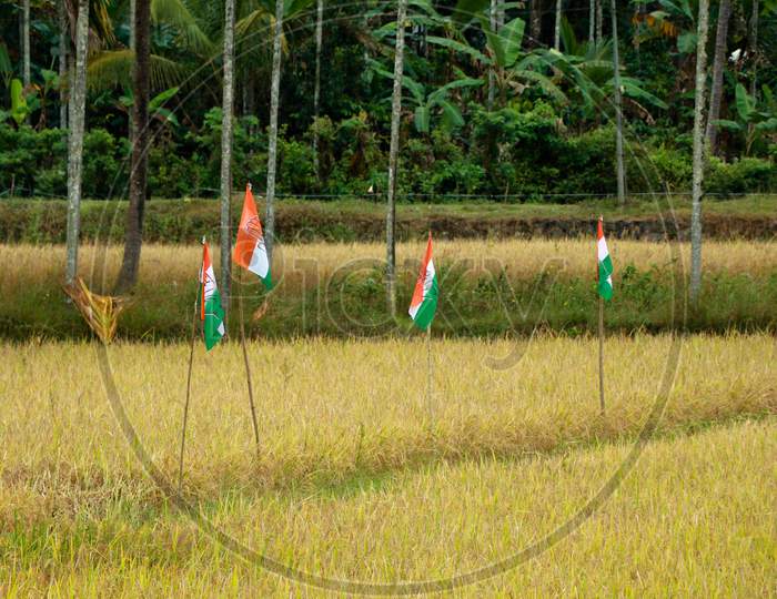 Political party flags place in paddy field for election campaign