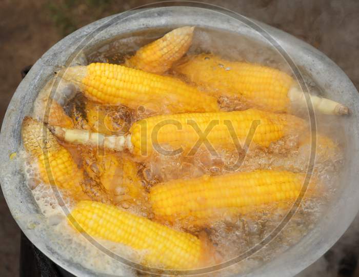 Corn Cobs On The Grill
