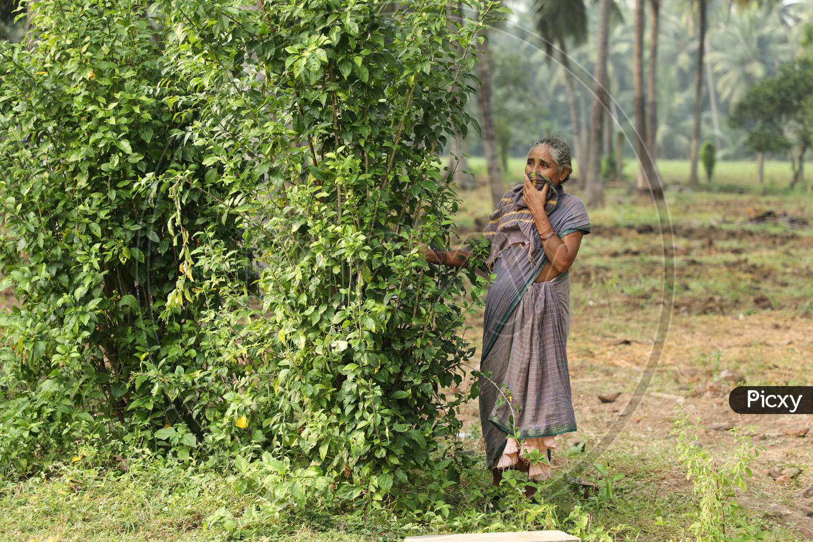 Old Women at rural area