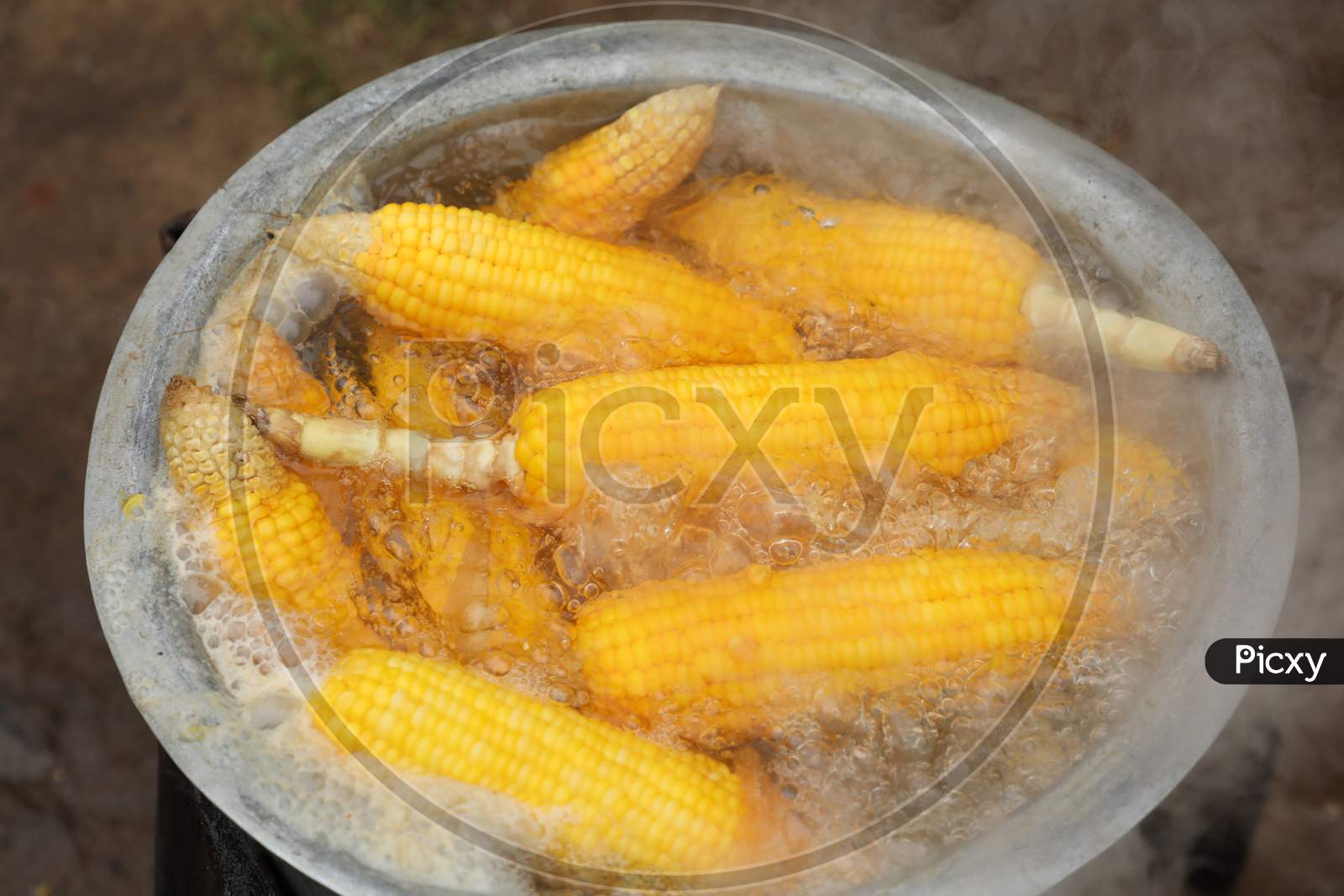 Corn Cobs On The Grill