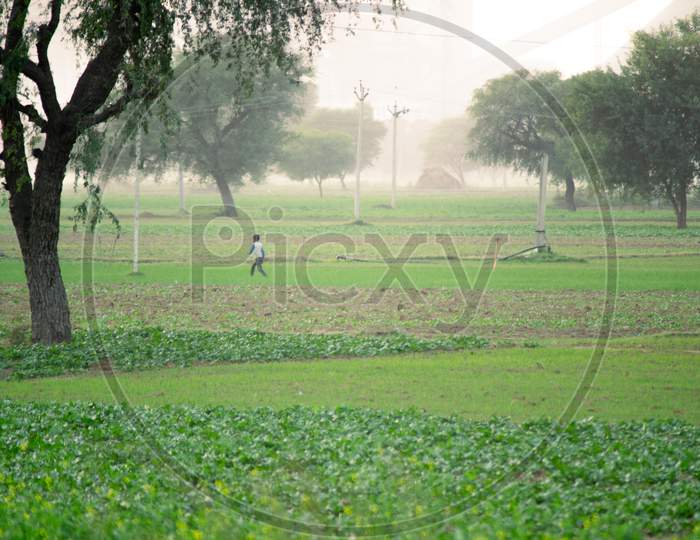 Shot Of Child With Man Running And Playing In A Natural Setting With A Green Feild With A Tree And Sunlight Dappled Foggy Rural Indian Scene