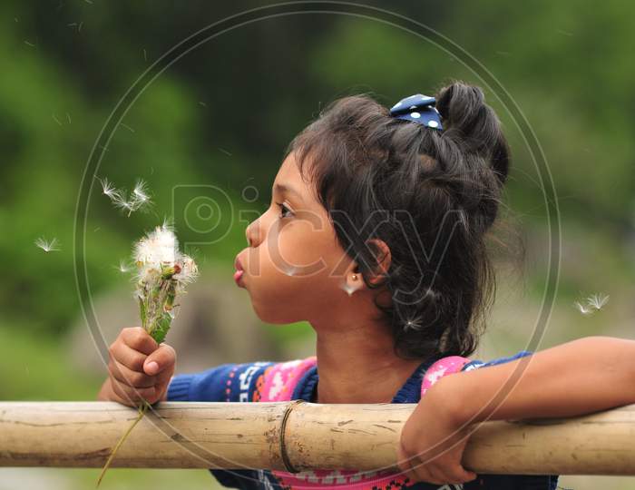 A kid girl blowing petal of dandelion and having fun
