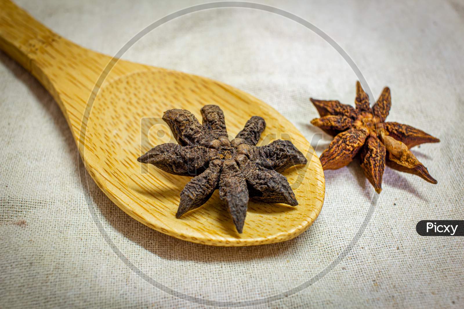 Top View Of Star Anise Which Is Commonly Used In Cooking For Flavours. Star Anise Oil Is A Highly Fragrant Oil Used In Cooking