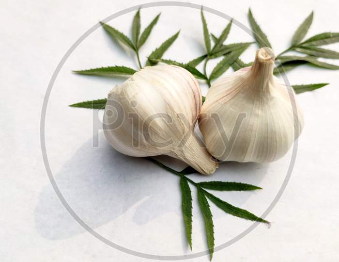 Dried Double Garlic Decorated With Green Leaf On A White Background.Copy Space For Text.
