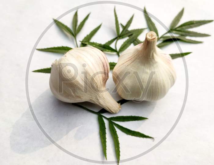 Dried Double Garlic Decorated With Green Leaf On A White Background.Copy Space For Text.