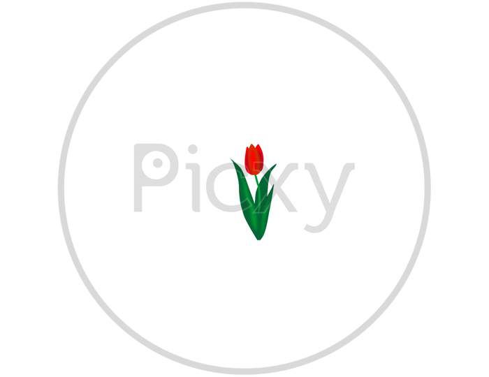 A 3d illustration image of tulip flower isolated on white background.