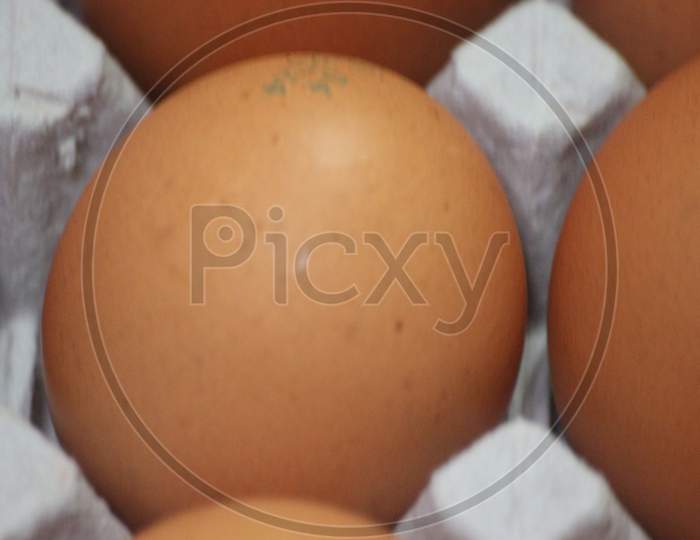 Closeup View With Selective Focus On Fresh Farm Chicken Eggs In An Egg-Carton