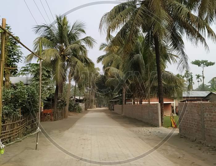 A concrete road in an Assam village