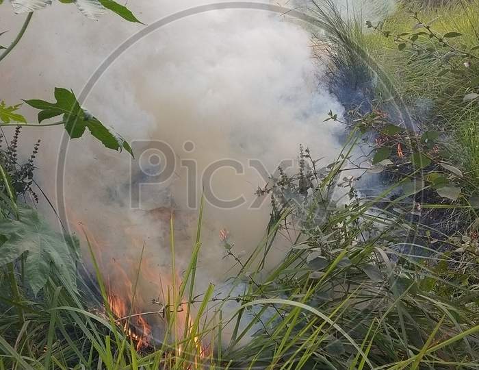 Human made fire in New town Akankha area