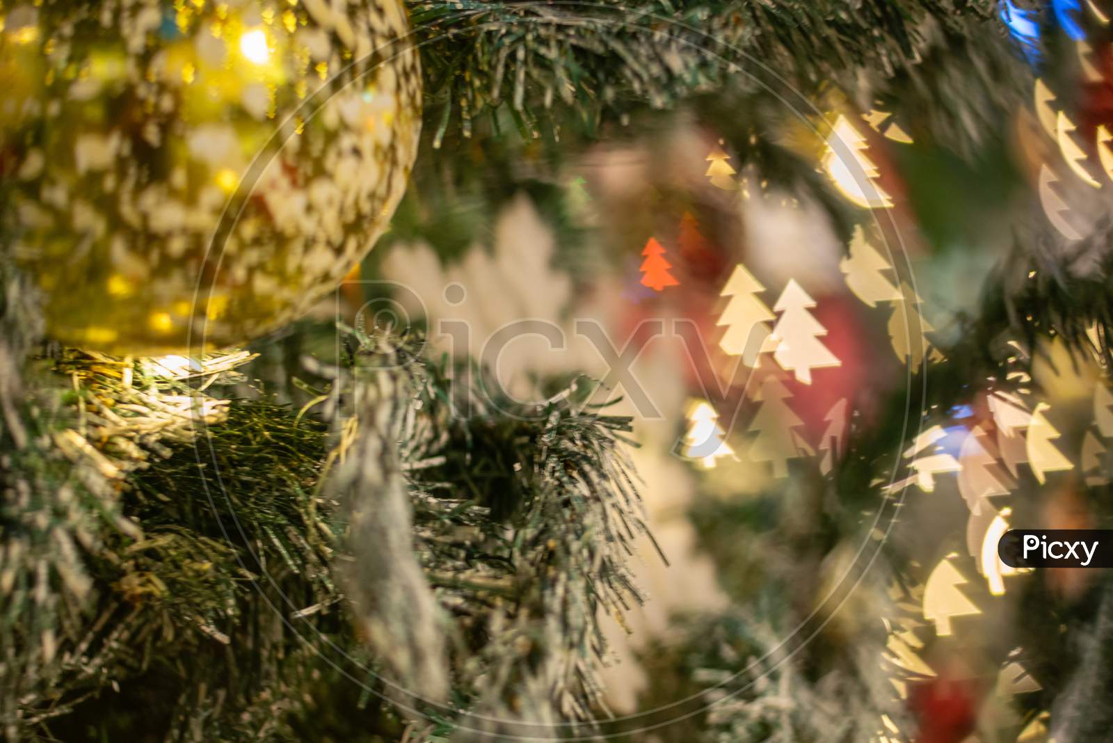 Blurry Focus Christmas Tree Leaves And Colorful Light.