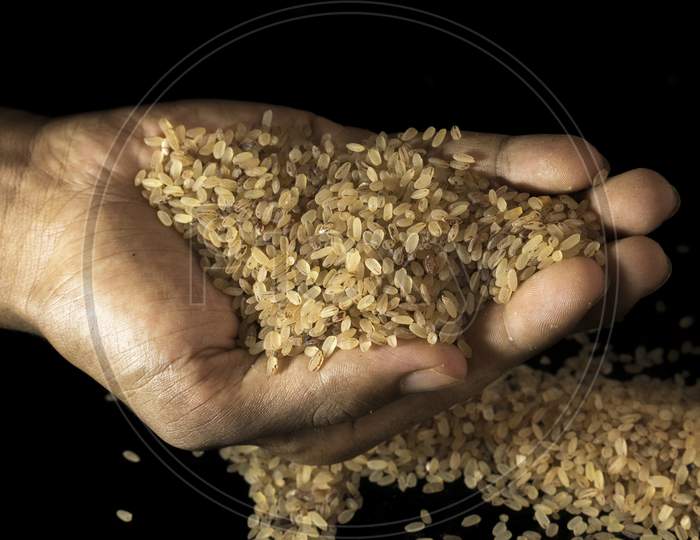 Image Of Raw Rice In Hand.