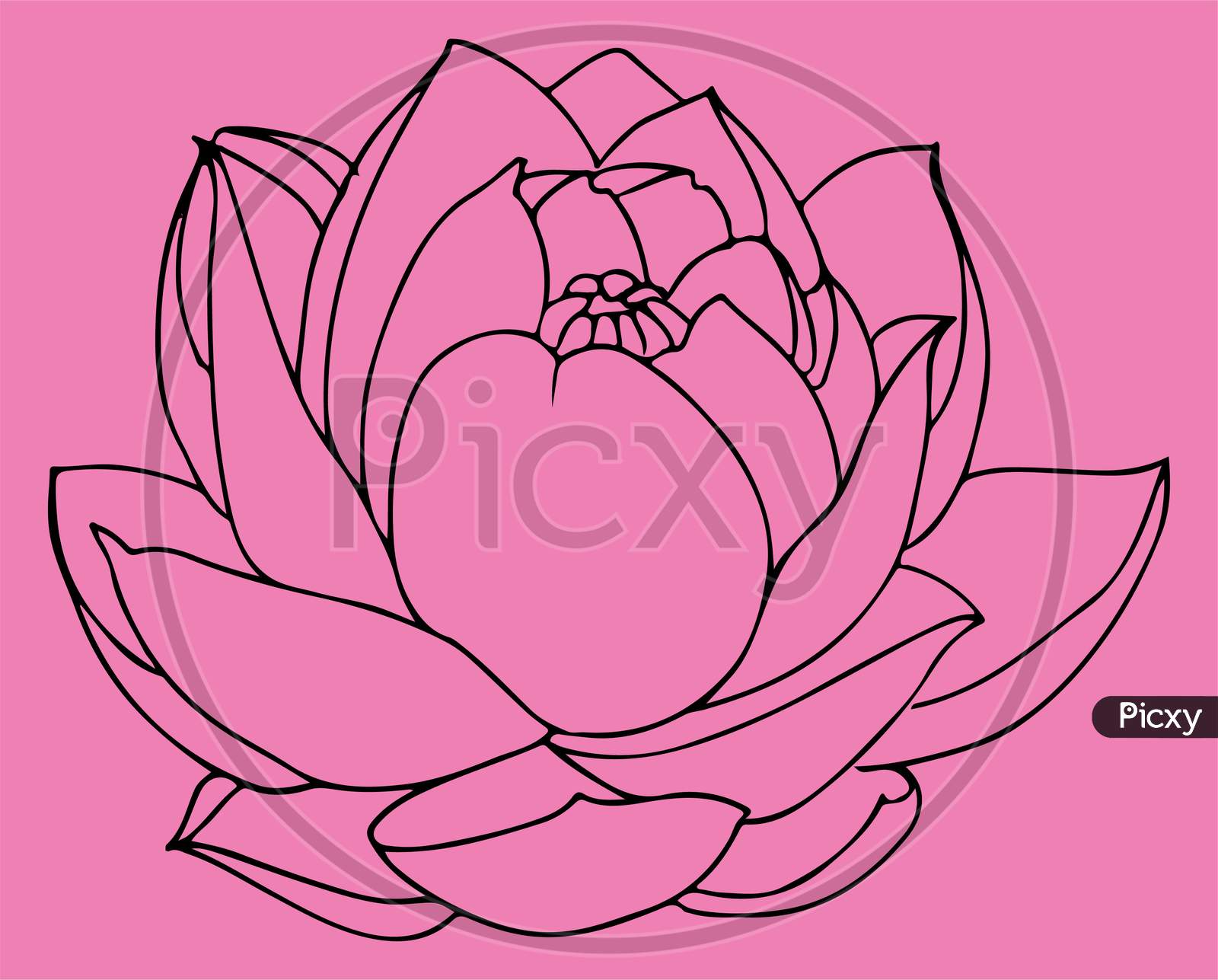 Lotus flower bloom. Stock Vector by ©GennadiiKorchuganov 189969150-saigonsouth.com.vn