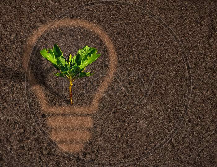 Green Plant Sprout Growing Within A Lightbulb Silhouette On Soil Background - Agriculture And Growth Concept