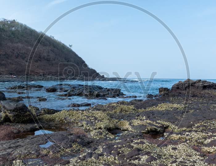 Panoramic View Of Rocks With Seaside Lichens Growth At Velneshwar Beach, Maharashtra, India